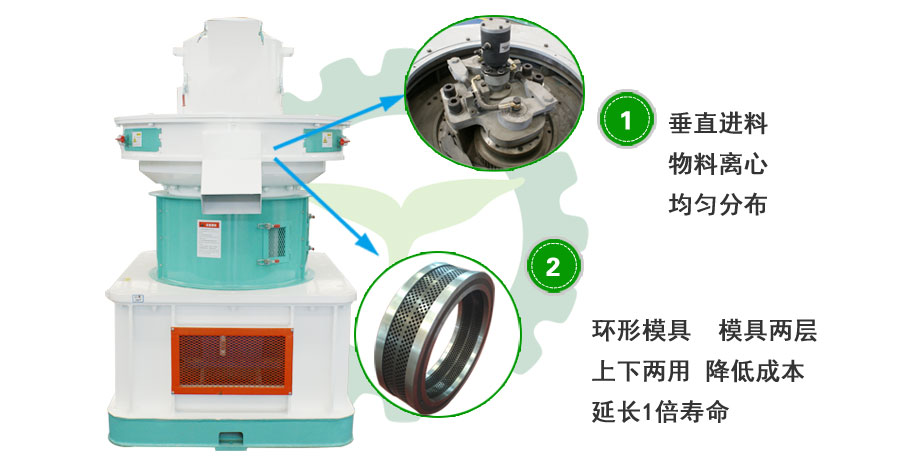 山东生物质麻豆传媒网站