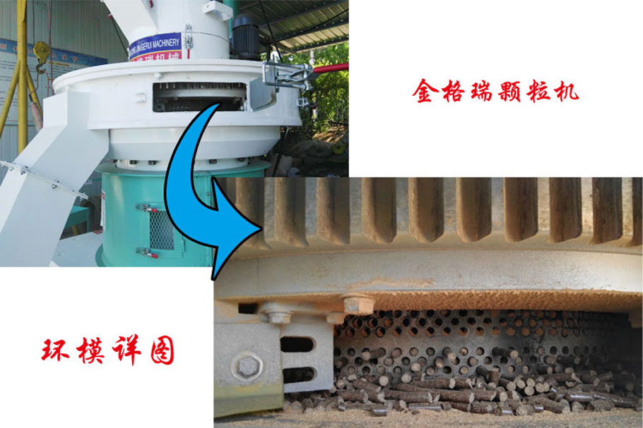生物质麻豆传媒网站图