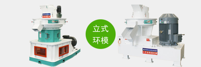 麻豆传媒网站