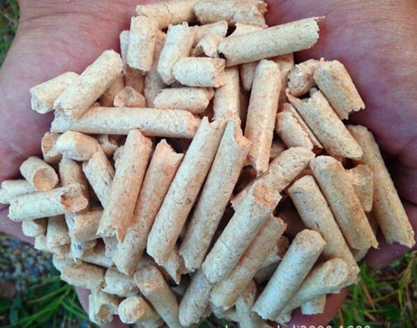 生物质麻豆传媒网站械设备