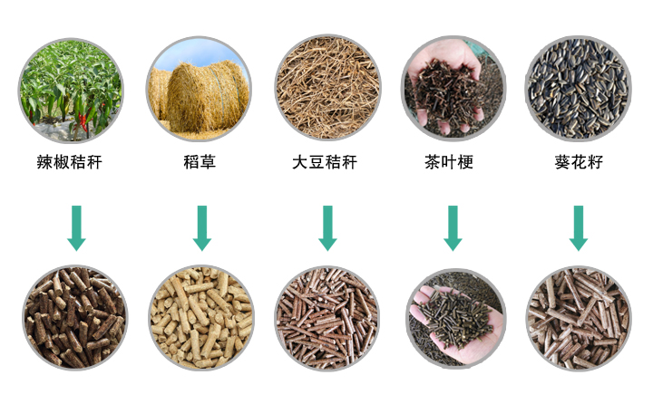 生物质麻豆传媒网站械加工的颗粒