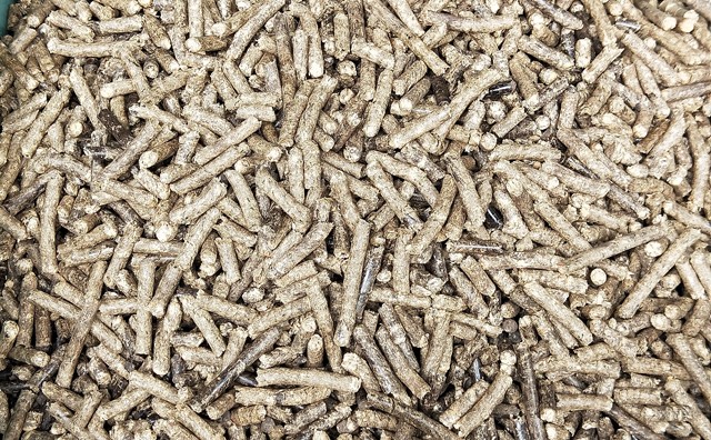 生物质麻豆传媒网站生物质燃料