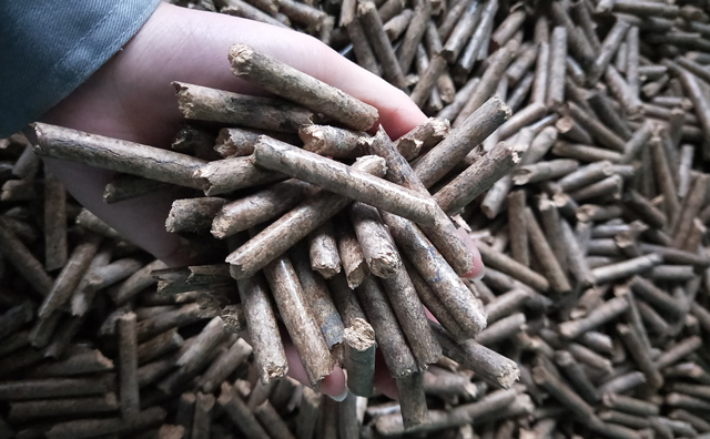 生物质麻豆传媒网站厂家加工的生物质燃料