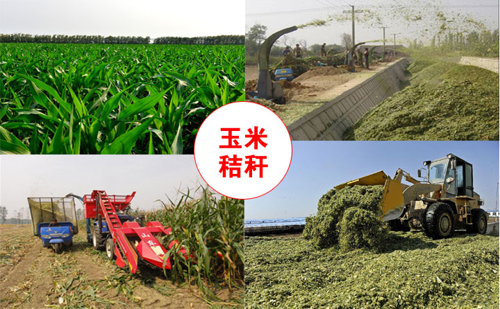 生物质麻豆传媒网站械