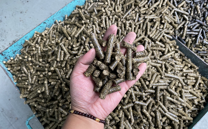 生物质麻豆传媒网站的颗粒燃料