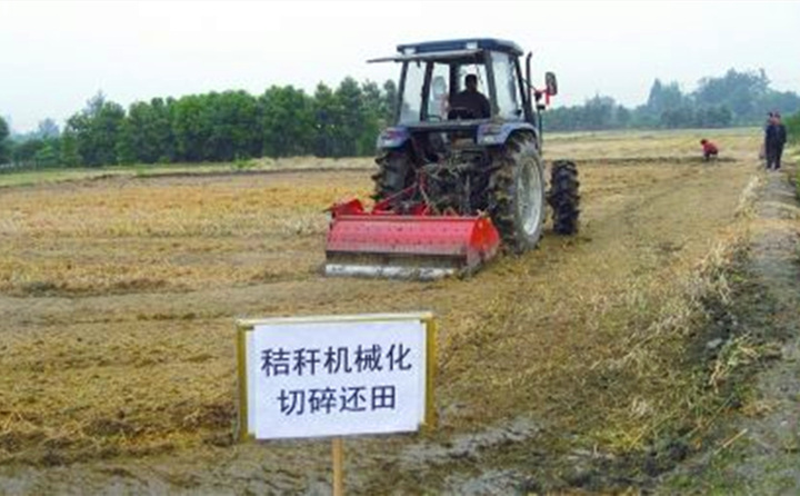 秸秆还田让“地越种越肥、产值越来越高”
