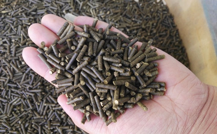 生物质燃料麻豆传媒网站加工颗粒燃料
