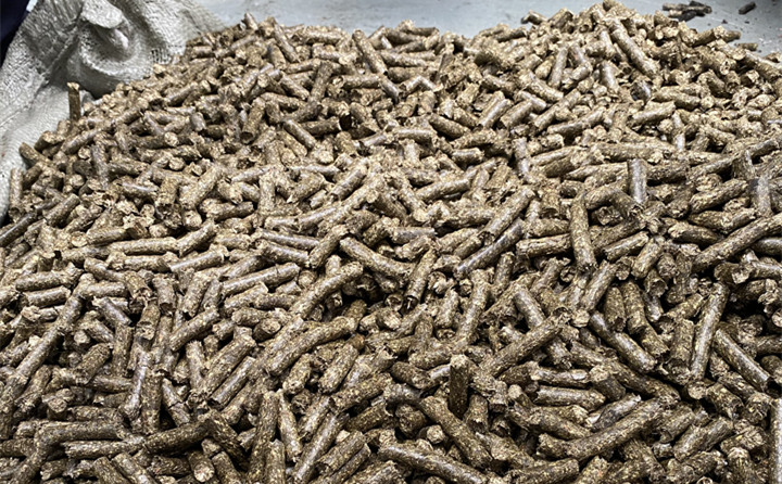 生物质燃料麻豆传媒网站颗粒项目