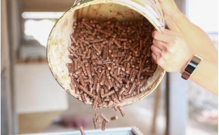 生物质麻豆传媒网站的燃料