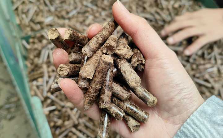 生物质麻豆传媒网站加工的颗粒燃料