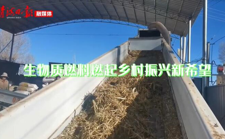 青海海东乐都：生物质颗粒燃料燃起乡村振兴新希望