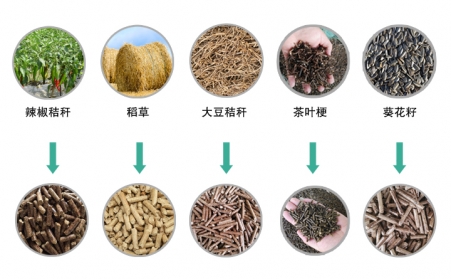 生物质麻豆传媒网站械推动生物质能源发展