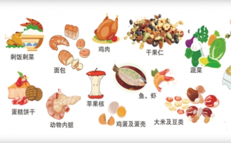 我国明确对非居民厨余垃圾处理按“产生者付费”原则计量收费,你的垃圾怎么办？垃圾生物质麻豆传媒网站帮你解决