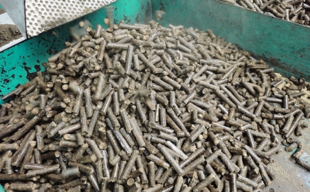 今日说说生物质燃料麻豆传媒网站的颗粒燃料那点事