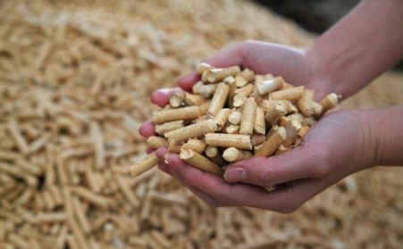 生物质燃料麻豆传媒网站生产的颗粒与其他燃料的对比