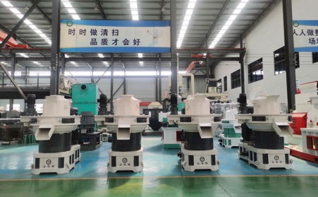 生物质燃料麻豆传媒网站是什么样你了解吗