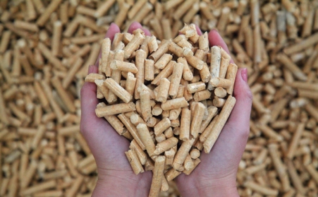 生物质麻豆传媒网站制粒项目建设的背景必要性