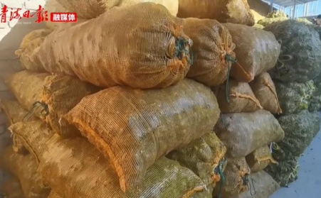 青海海东乐都：生物质颗粒燃料燃起乡村振兴新希望