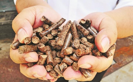推广生物质燃料利用，农林业废弃物变成“宝贝疙瘩”