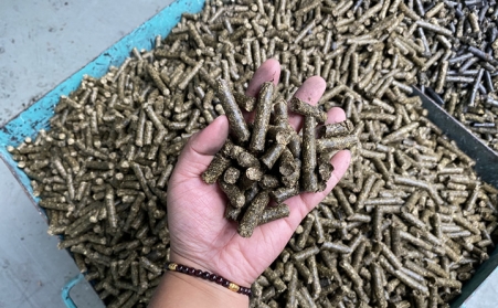 生物质麻豆传媒网站加工的燃料的使用方向主要有以下5个
