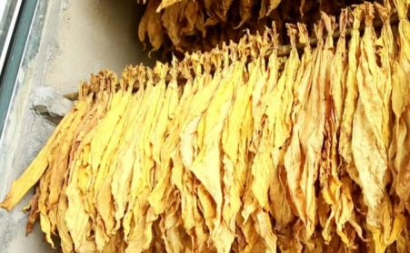 湖北省十堰市竹溪桃源乡：生物质燃料运输正当时